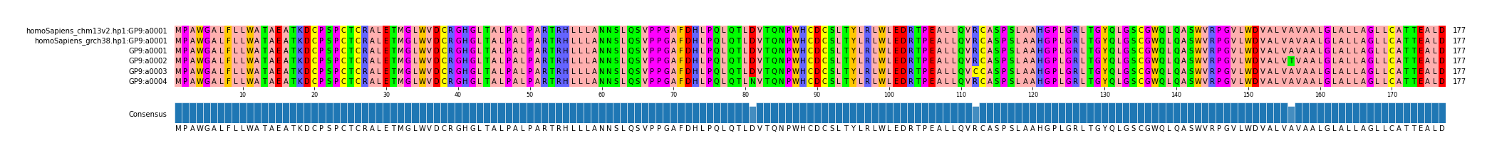 Multiple Alignments (by translate haplotype frequency)