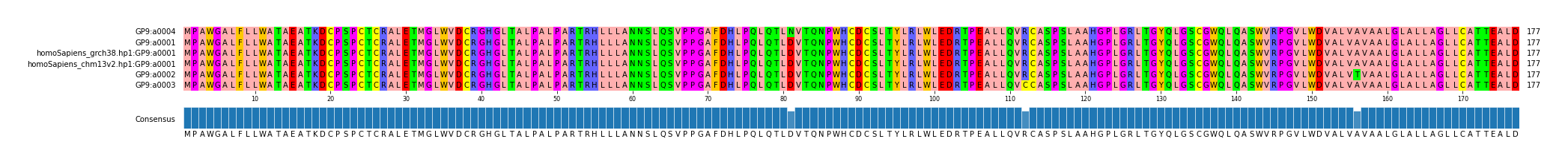 Multiple Alignments (by translate haplotype similarity)