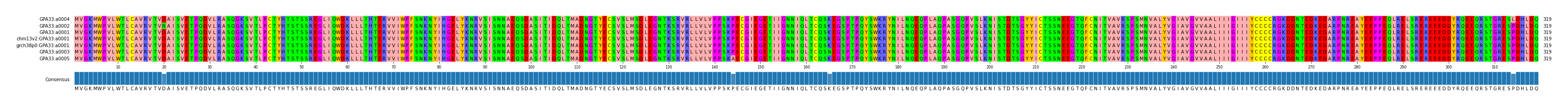 Multiple Alignments (by translate haplotype similarity)
