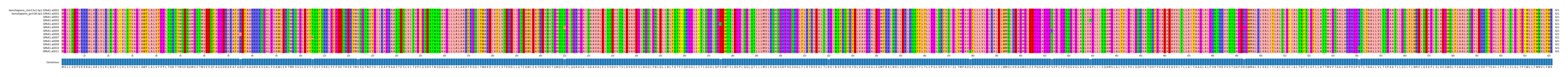 Multiple Alignments (by translate haplotype frequency)