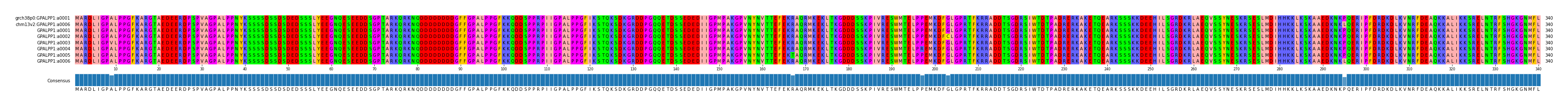 Multiple Alignments (by translate haplotype frequency)