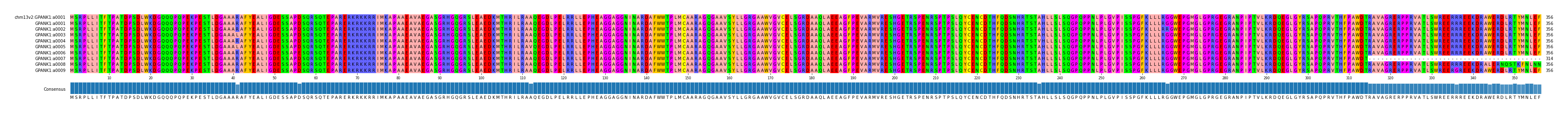 Multiple Alignments (by translate haplotype frequency)