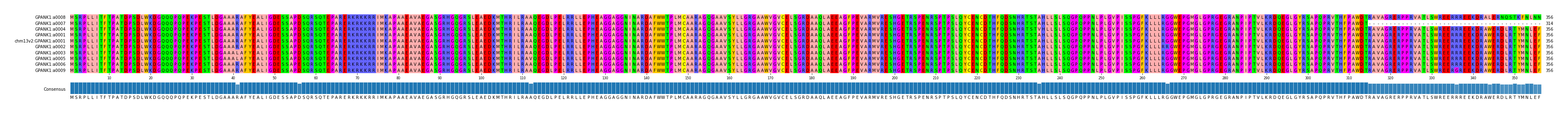 Multiple Alignments (by translate haplotype similarity)