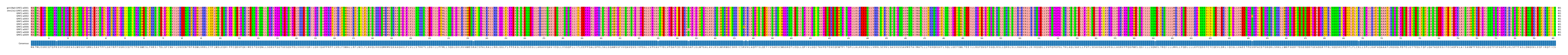 Multiple Alignments (by translate haplotype frequency)