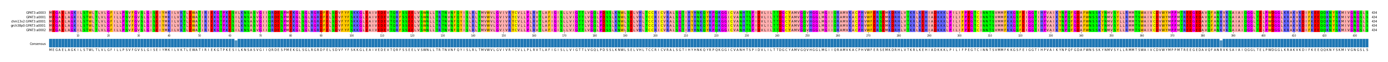 Multiple Alignments (by translate haplotype similarity)