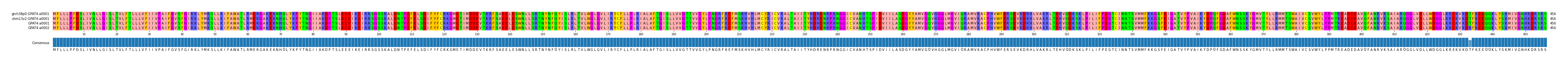 Multiple Alignments (by translate haplotype similarity)