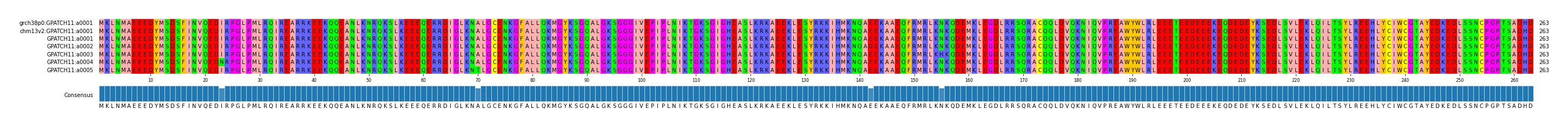 Multiple Alignments (by translate haplotype frequency)