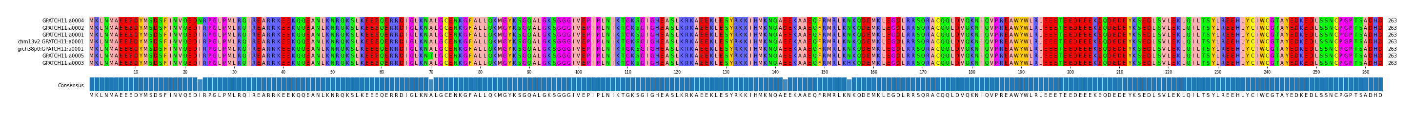 Multiple Alignments (by translate haplotype similarity)