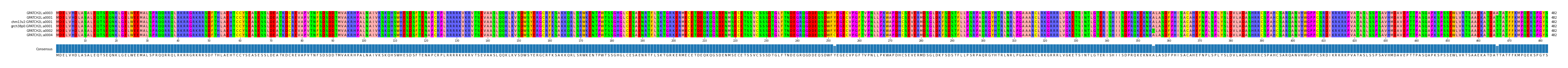 Multiple Alignments (by translate haplotype similarity)