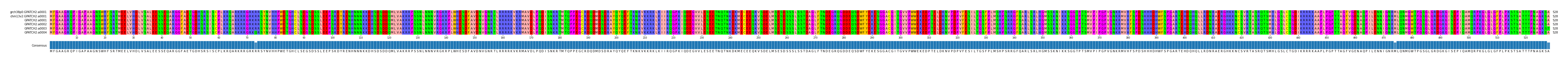 Multiple Alignments (by translate haplotype frequency)