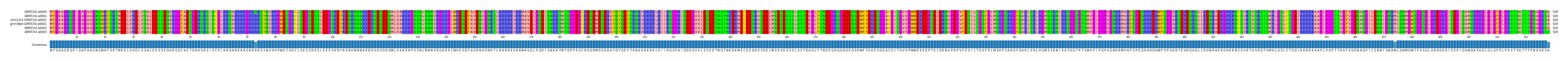 Multiple Alignments (by translate haplotype similarity)