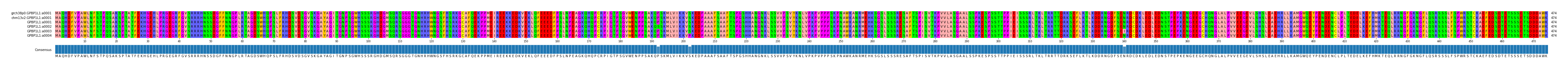 Multiple Alignments (by translate haplotype frequency)