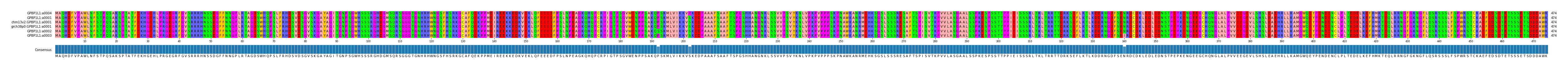 Multiple Alignments (by translate haplotype similarity)