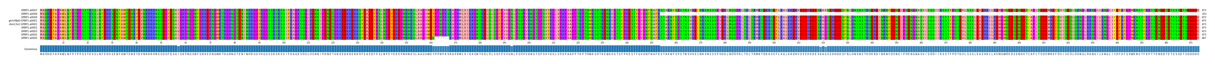 Multiple Alignments (by translate haplotype similarity)