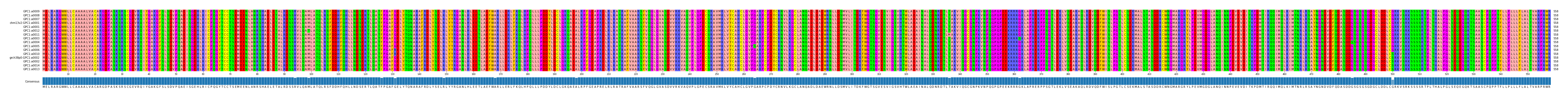 Multiple Alignments (by translate haplotype similarity)