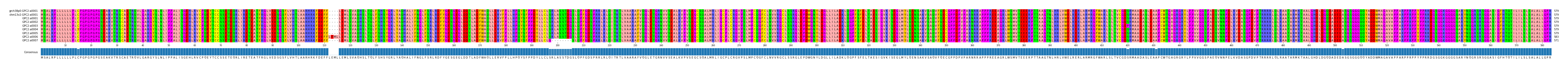 Multiple Alignments (by translate haplotype frequency)