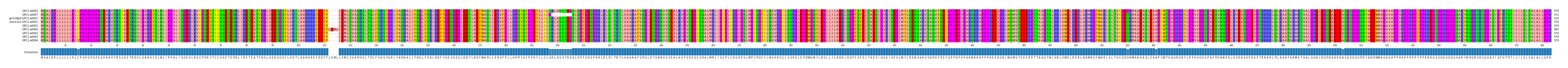 Multiple Alignments (by translate haplotype similarity)