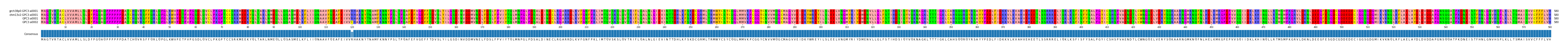 Multiple Alignments (by translate haplotype frequency)