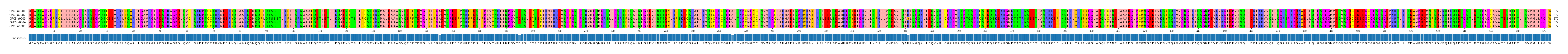 Multiple Alignments (by translate haplotype frequency)