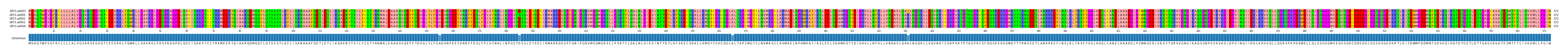 Multiple Alignments (by translate haplotype similarity)