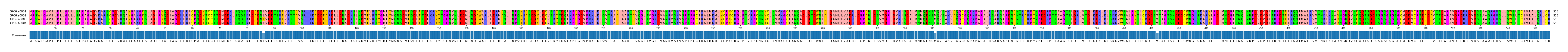 Multiple Alignments (by translate haplotype frequency)