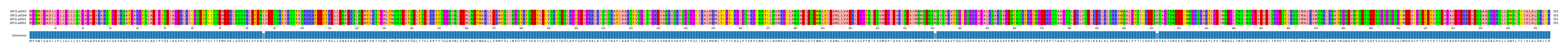 Multiple Alignments (by translate haplotype similarity)