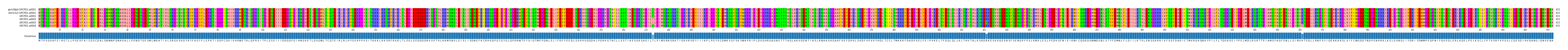 Multiple Alignments (by translate haplotype frequency)