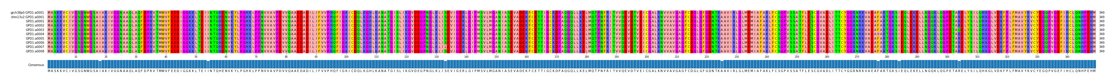 Multiple Alignments (by translate haplotype frequency)