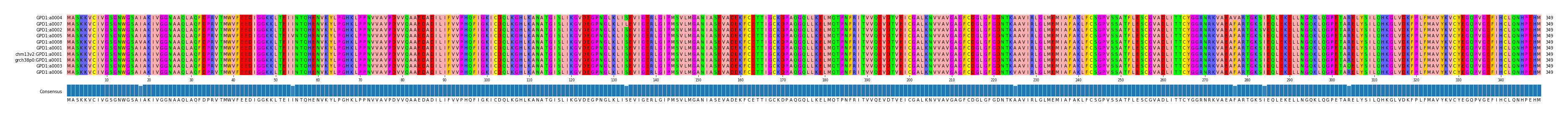 Multiple Alignments (by translate haplotype similarity)