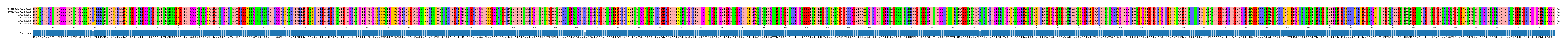 Multiple Alignments (by translate haplotype frequency)