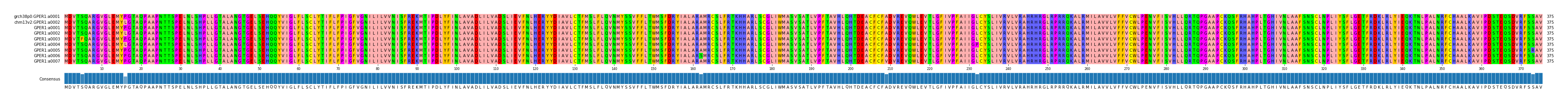 Multiple Alignments (by translate haplotype frequency)