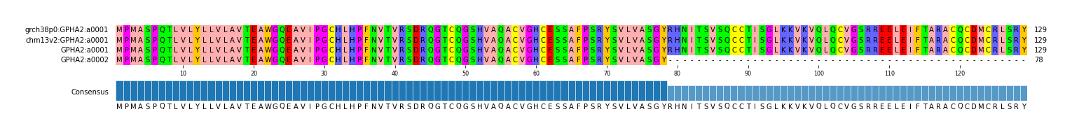 Multiple Alignments (by translate haplotype similarity)