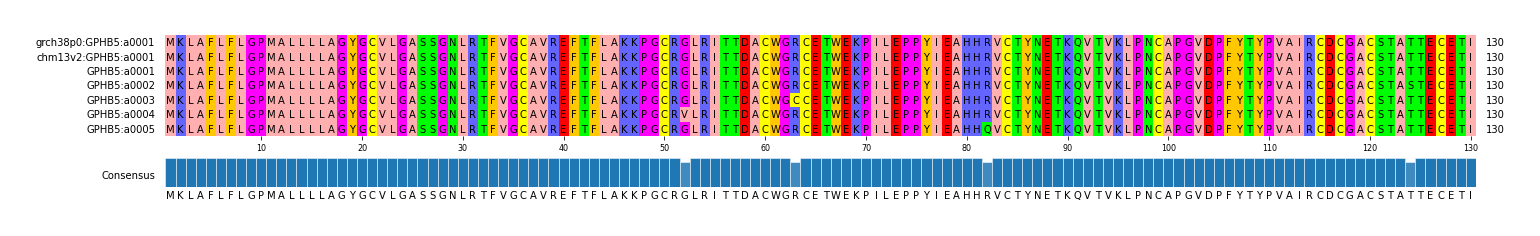 Multiple Alignments (by translate haplotype frequency)