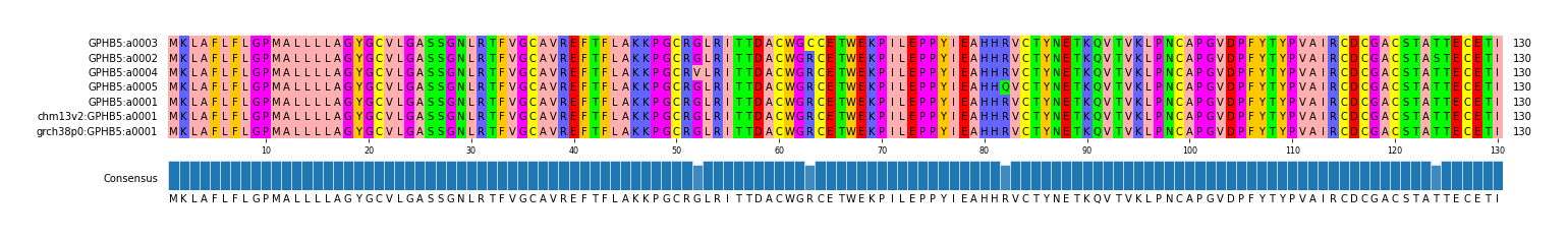 Multiple Alignments (by translate haplotype similarity)
