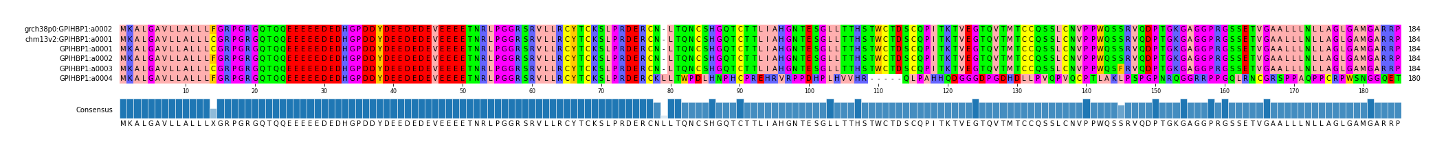 Multiple Alignments (by translate haplotype frequency)