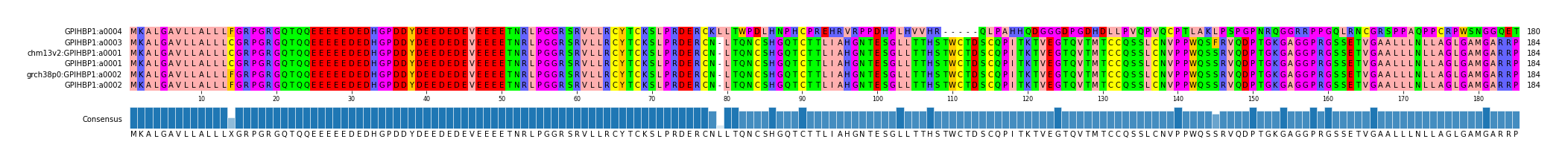 Multiple Alignments (by translate haplotype similarity)