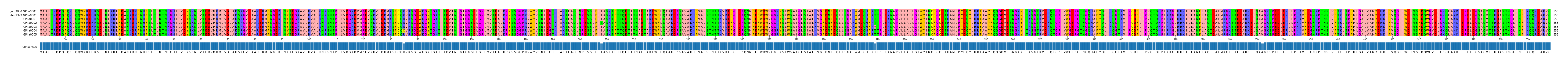 Multiple Alignments (by translate haplotype frequency)