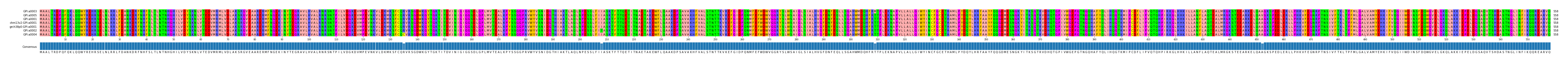 Multiple Alignments (by translate haplotype similarity)