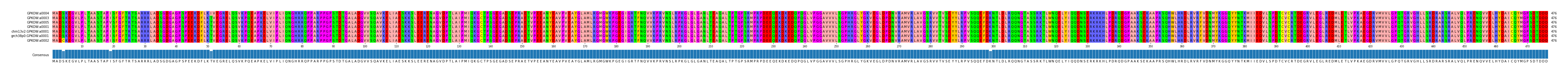 Multiple Alignments (by translate haplotype similarity)