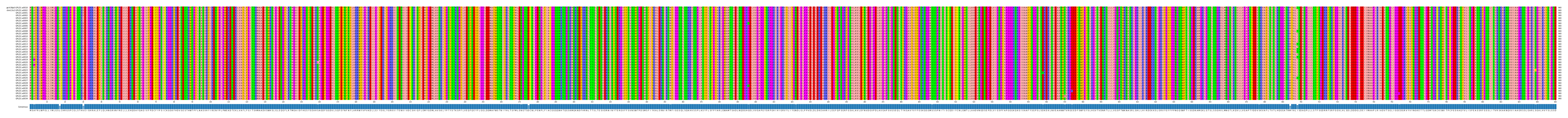 Multiple Alignments (by translate haplotype frequency)