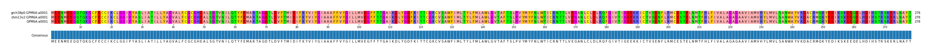 Multiple Alignments (by translate haplotype similarity)
