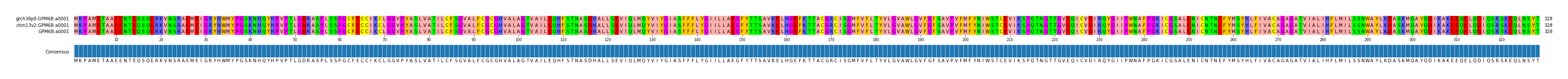 Multiple Alignments (by translate haplotype similarity)
