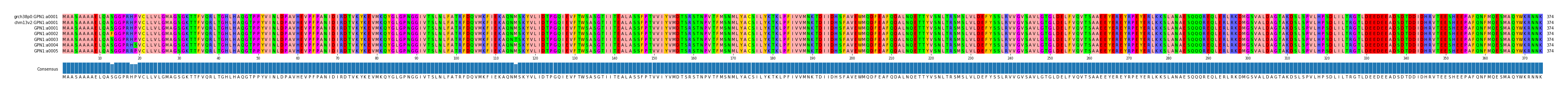 Multiple Alignments (by translate haplotype frequency)