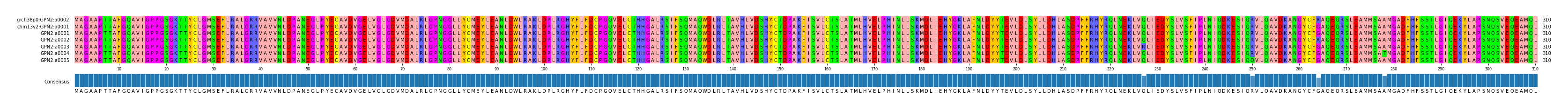 Multiple Alignments (by translate haplotype frequency)