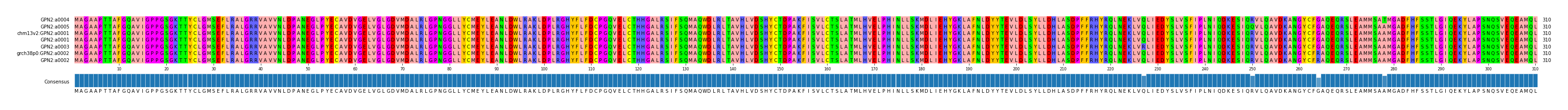 Multiple Alignments (by translate haplotype similarity)