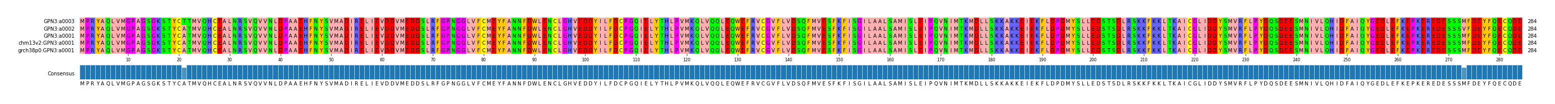 Multiple Alignments (by translate haplotype similarity)