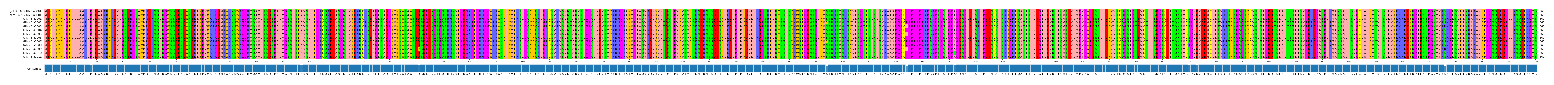 Multiple Alignments (by translate haplotype frequency)