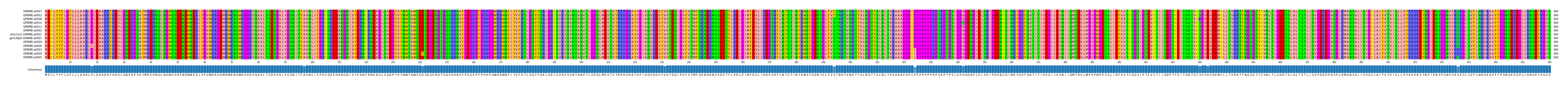 Multiple Alignments (by translate haplotype similarity)