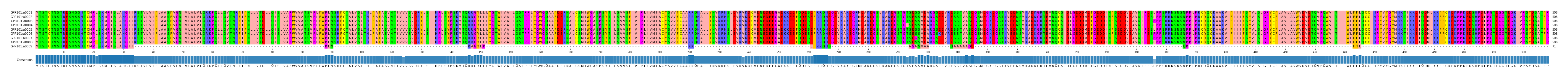 Multiple Alignments (by translate haplotype frequency)