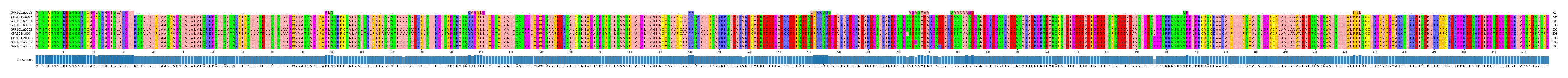 Multiple Alignments (by translate haplotype similarity)